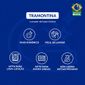 Aparelho-de-Jantar-Porcelana-20-pecas-Leve-Cupe-Tramontina-C